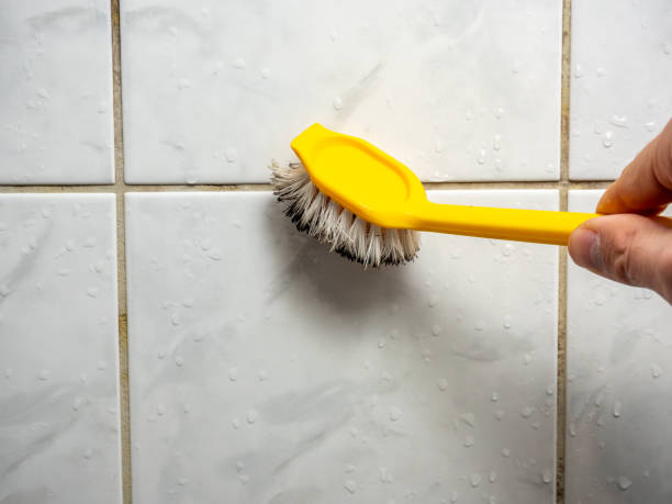 Best Mold Remediation  in Noyack, NY