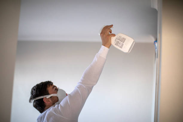 Best Attic Mold Removal  in Noyack, NY